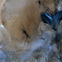 Eastern Abstracts 020